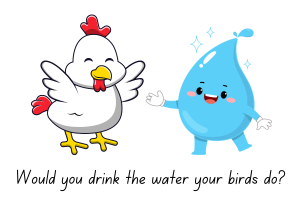 Poultry drinking water