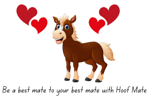 Hoof Care for your best mate